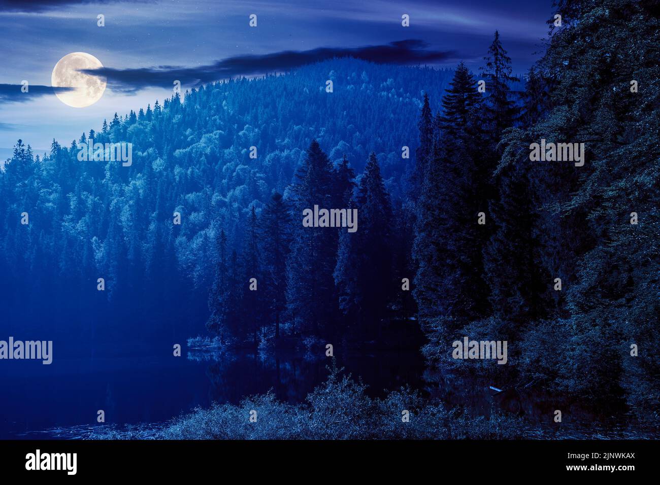 lago selvaggio tra la foresta di conifere di notte. splendido paesaggio naturale nei monti carpazi. clima estivo con cielo scuro in piena luna. m Foto Stock