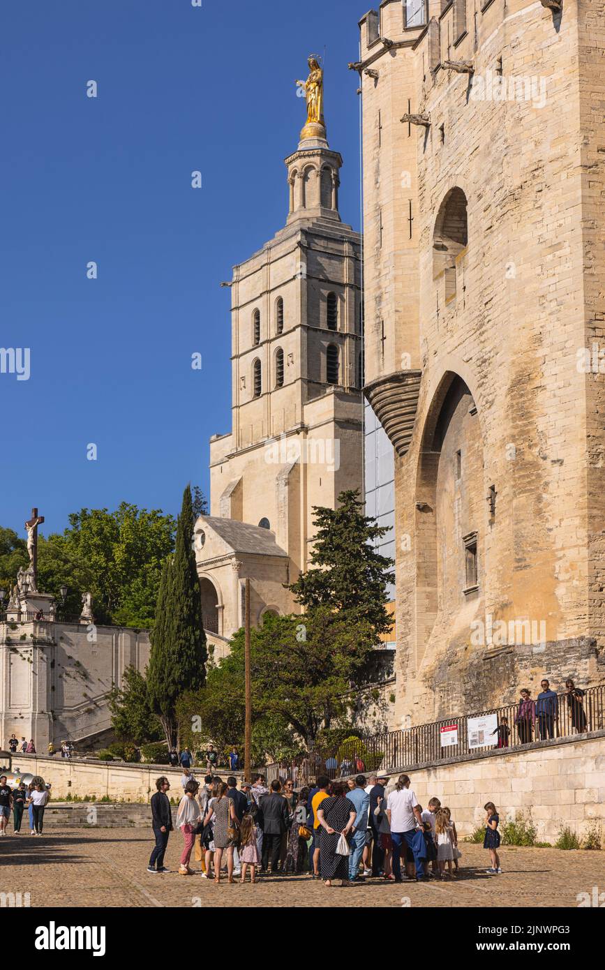 I turisti si riunirono di fronte al Palais des Papes - Palazzo dei Papi con dietro il campanile della cattedrale di Avignone. Avignone, Vaucluse, Fran Foto Stock