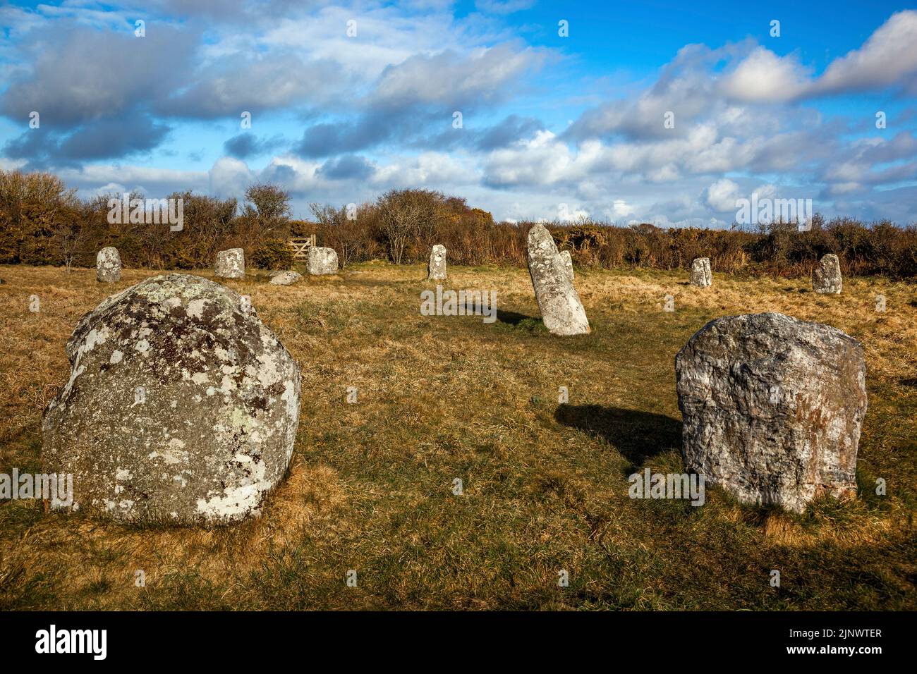 Boscawen-un Stone Circle; vicino a St. Buryan; Cornovaglia occidentale Foto Stock