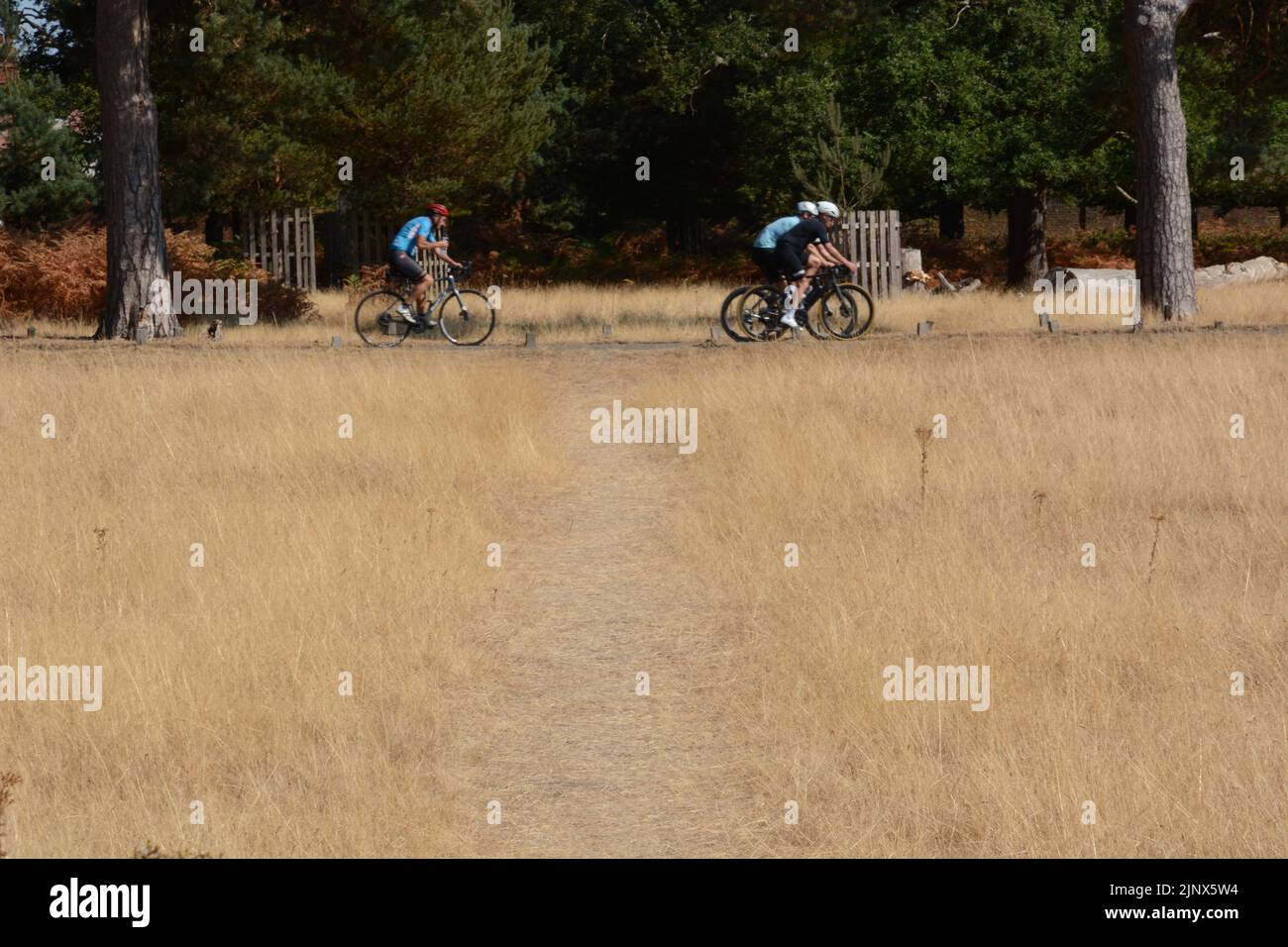 I ciclisti non si scoraggiarono dal caldo giro attraverso Richmond Park nel sud-ovest di Londra - Agosto 2022 Foto Stock