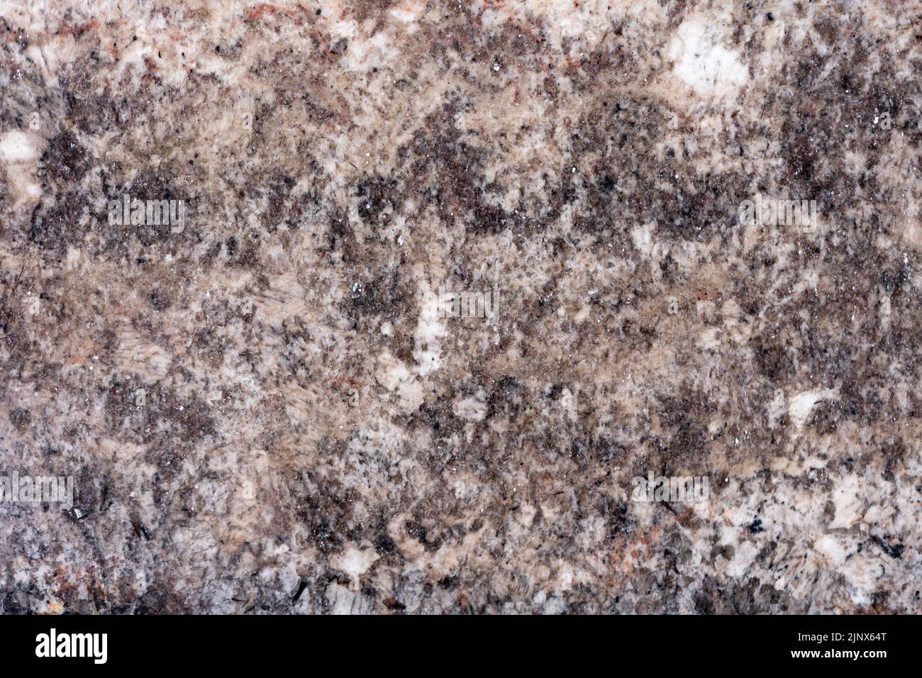 Sfondo grigio granito per il tuo nuovo design con colori naturali. Foto Stock