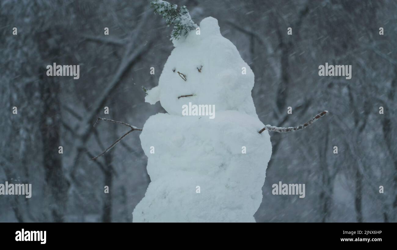 Felice pupazzo di neve divertente, sullo sfondo di una forte nevicata. Foto Stock