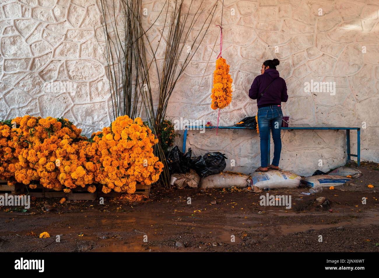 Una giovane donna messicana vende mazzi di fiori di marigold per le celebrazioni del giorno dei morti nel mercato di Tlapa de Comonfort, Messico. Foto Stock
