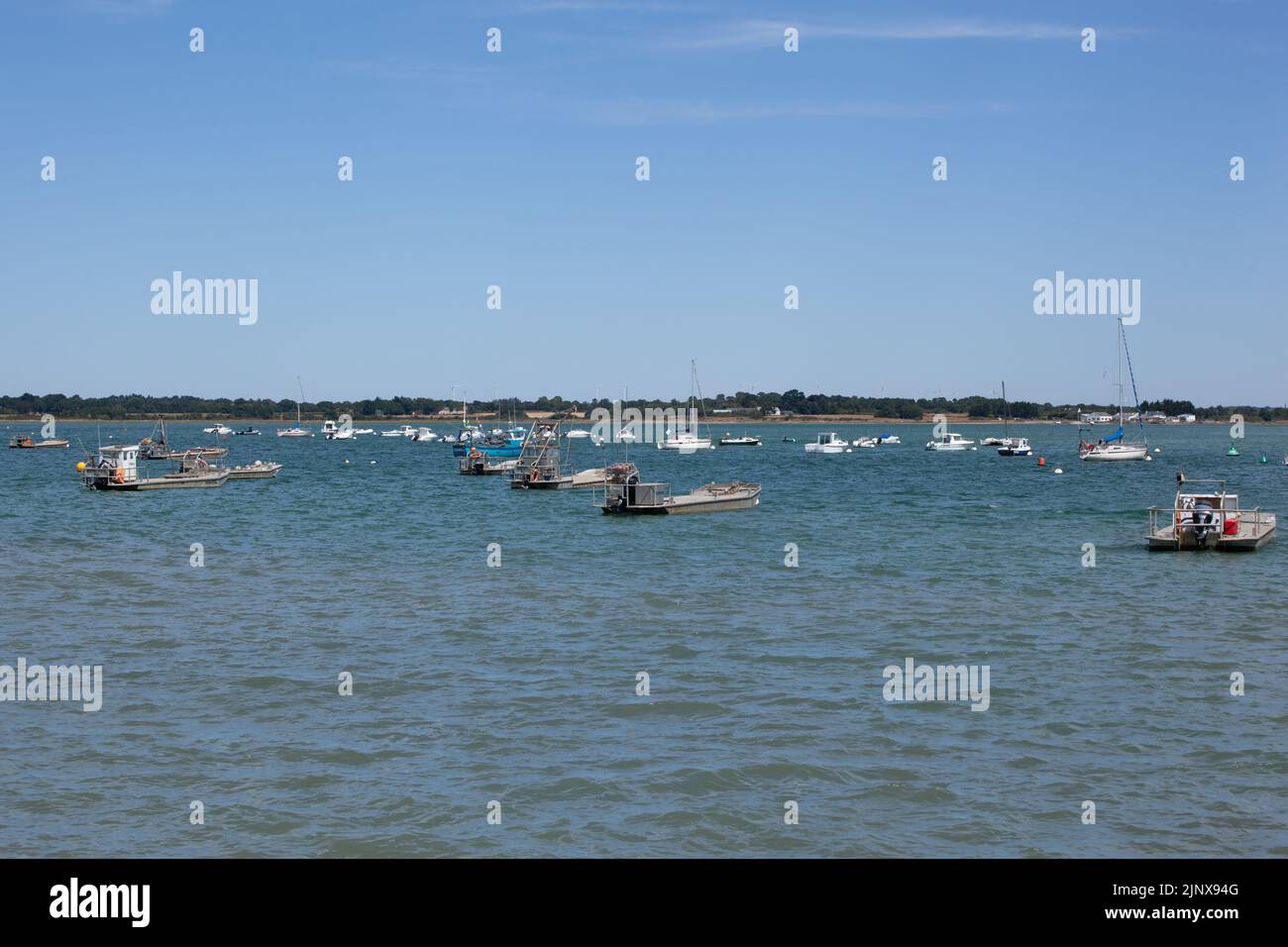 Le barche per il lavoro sul letto di ostriche e mitili sono ormeggiate su un mare calmo. Foto Stock