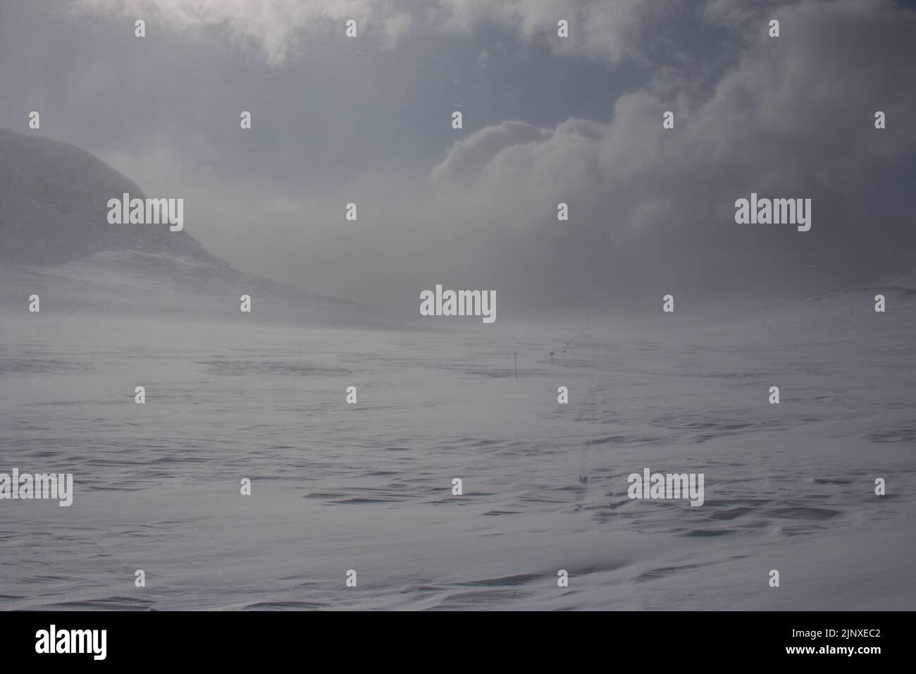 Tempesta di neve sulla pista sciistica di Kungsleden tra Abisko e Nikkaluokta, Lapponia, Svezia Foto Stock