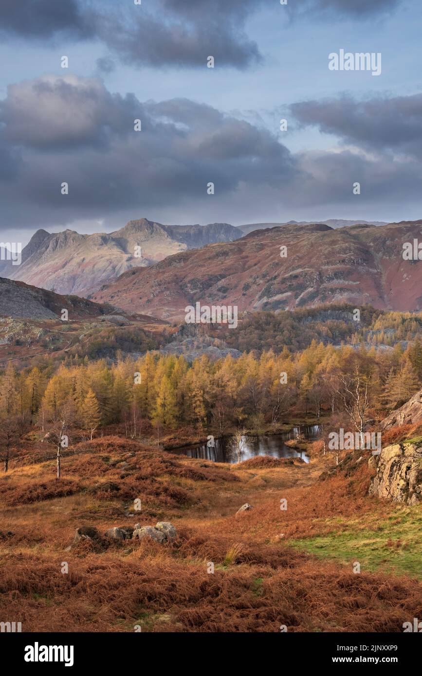 Epica immagine paesaggistica di una splendida luce del tramonto autunnale attraverso Langdale Pikes guardando da Holme Fell nel Lake District Foto Stock