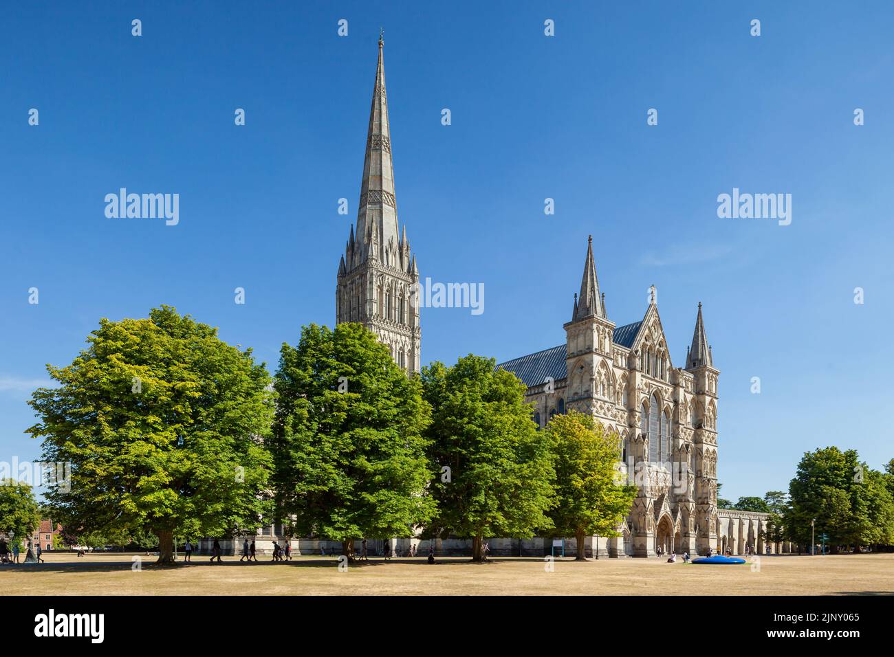 Pomeriggio d'estate alla Cattedrale di Salisbury, Salisbury, Wiltshire. Foto Stock