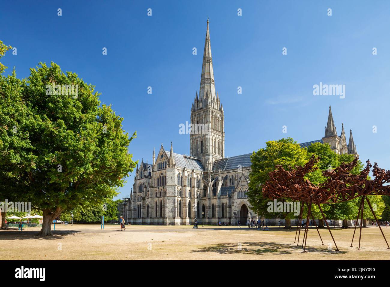 Pomeriggio estivo alla Cattedrale di Salisbury, nel Wiltshire, Inghilterra. Foto Stock