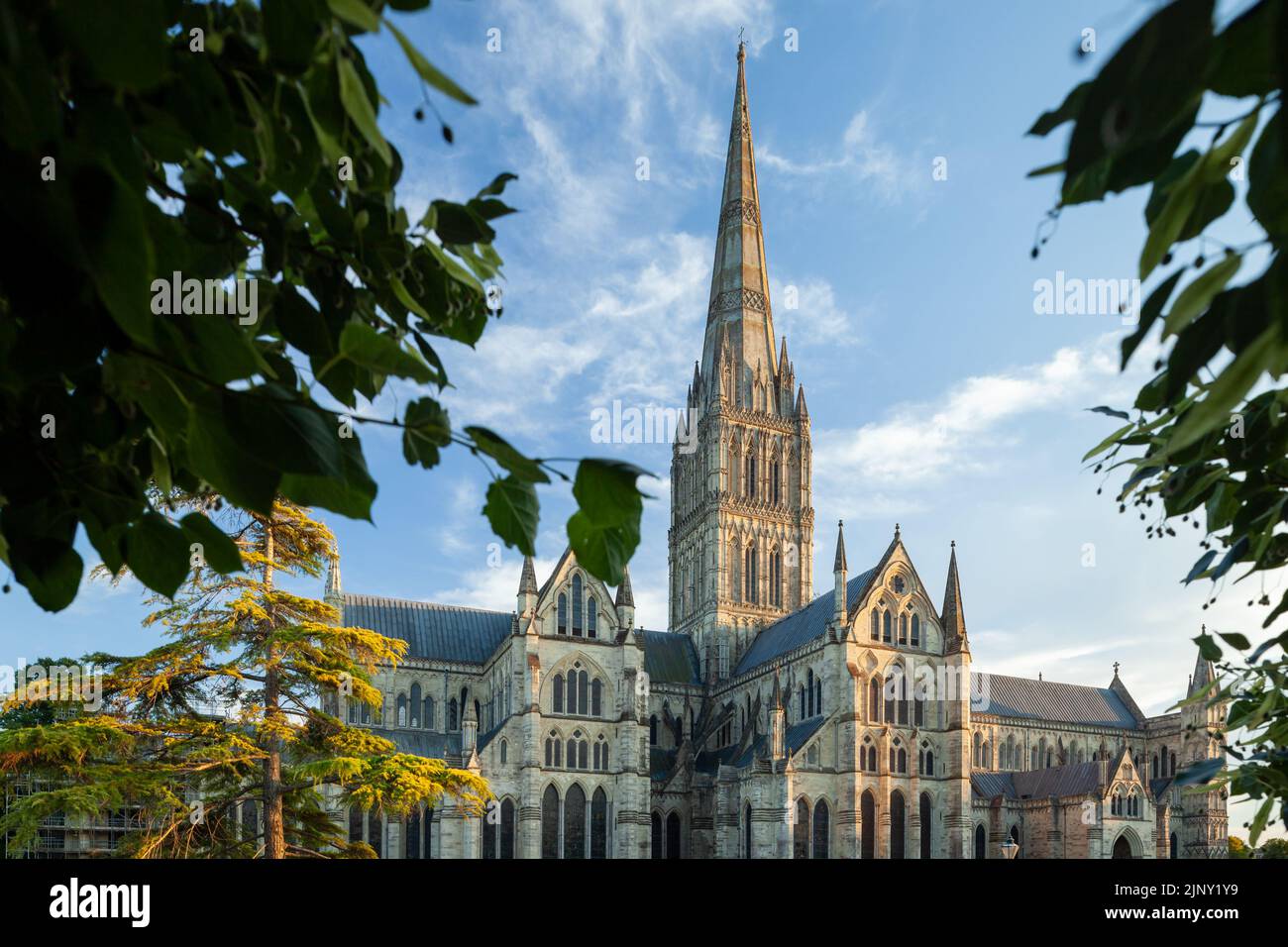 Tramonto alla Cattedrale di Salisbury, Salisbury, Wiltshire, Inghilterra. Foto Stock