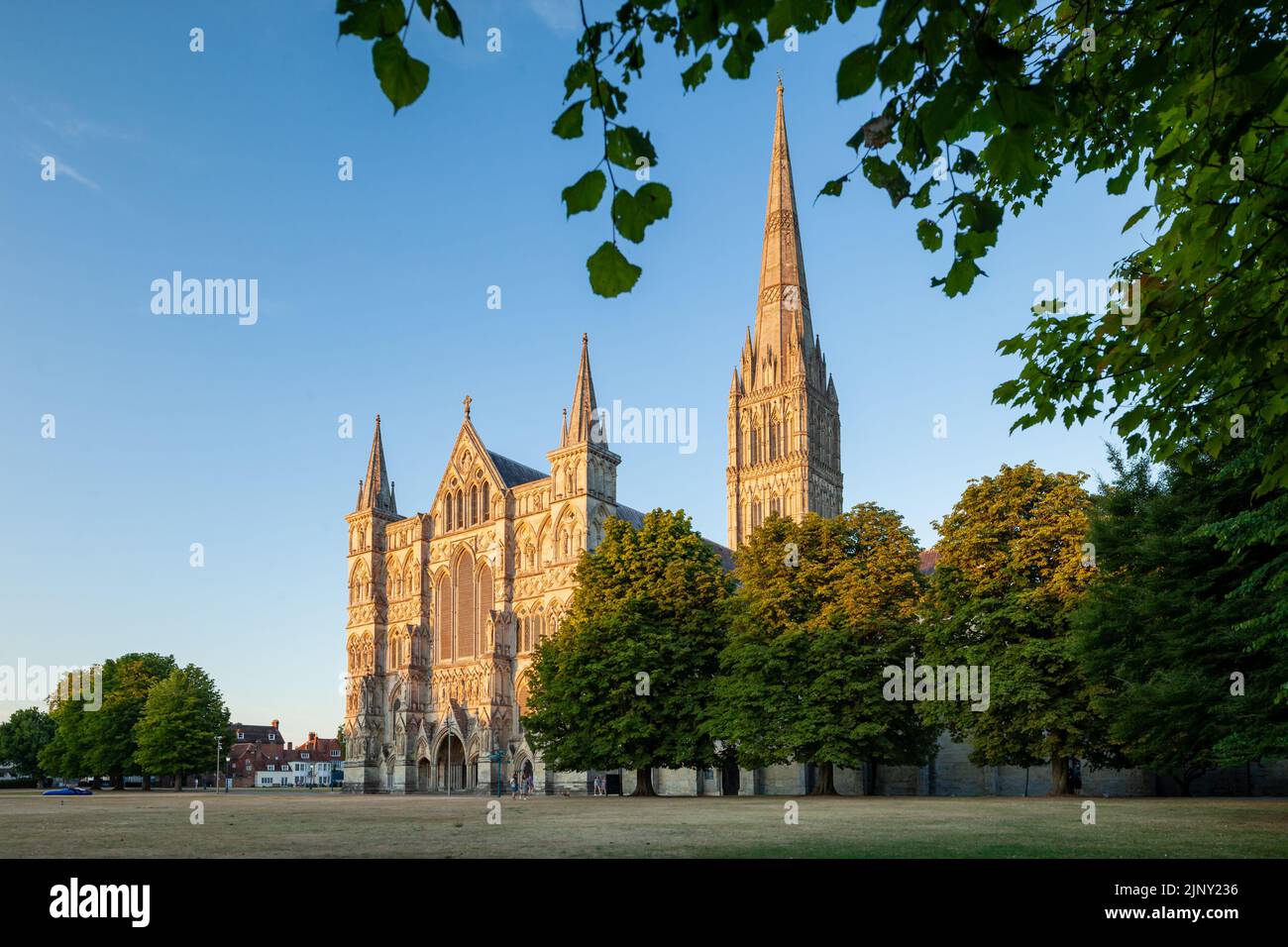 Tramonto estivo alla Cattedrale di Salisbury, Wiltshire, Inghilterra. Foto Stock