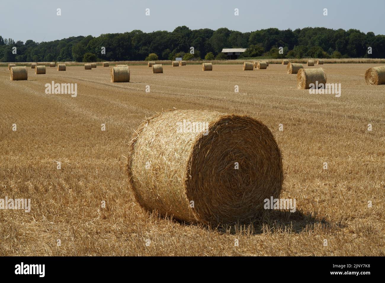 Chiesa Fenton villaggio, vista vicino a Common Lane Foto Stock