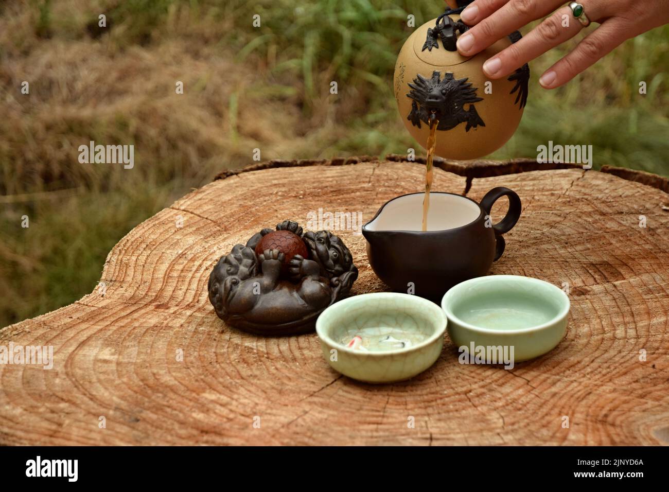Preparare il tè nero cinese nel set da tè sul tavolo di legno. Bevete il tè nella natura. Foto Stock