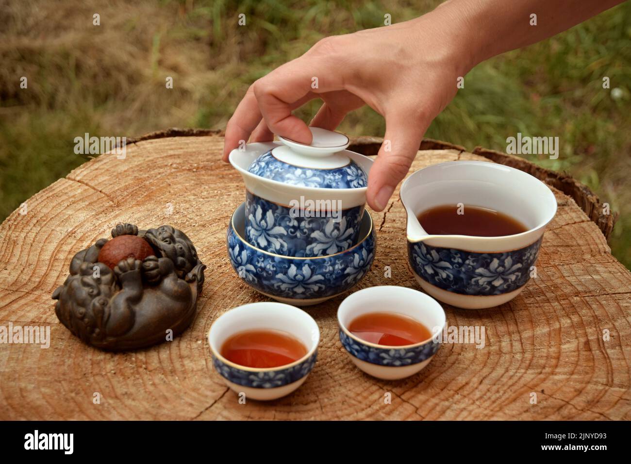 Preparare il tè nero cinese nel set da tè sul tavolo di legno. Bevete il tè nella natura. Foto Stock