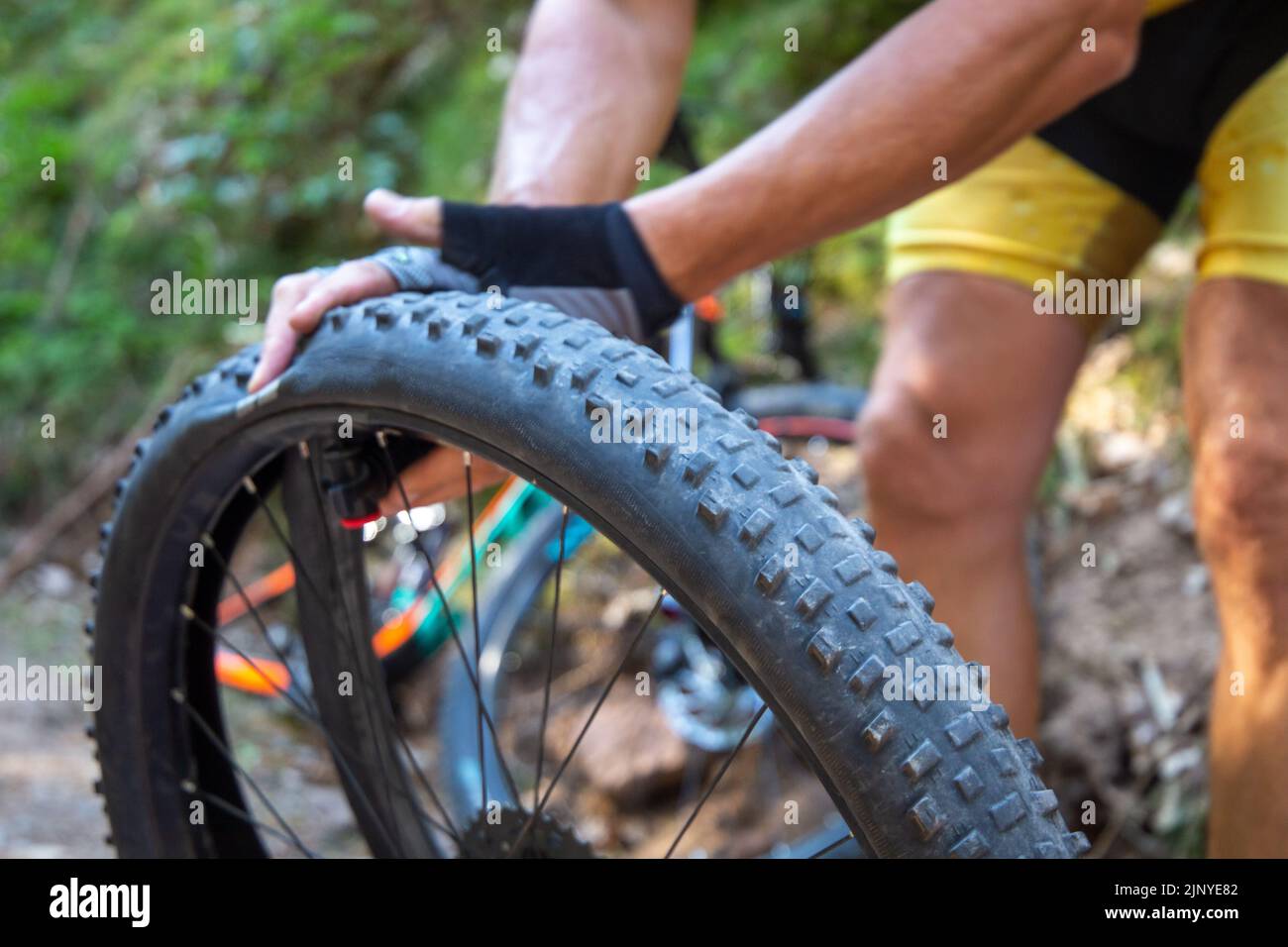 Pneumatico sgonfio durante un tour in mountain bike. Mountain Biker cambia il tubo interno Foto Stock