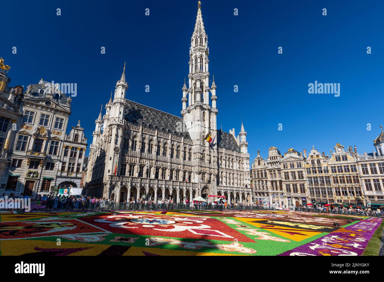 Flower carpet edizione 2022 presso la Grand Place di Bruxelles, Belgio Foto Stock