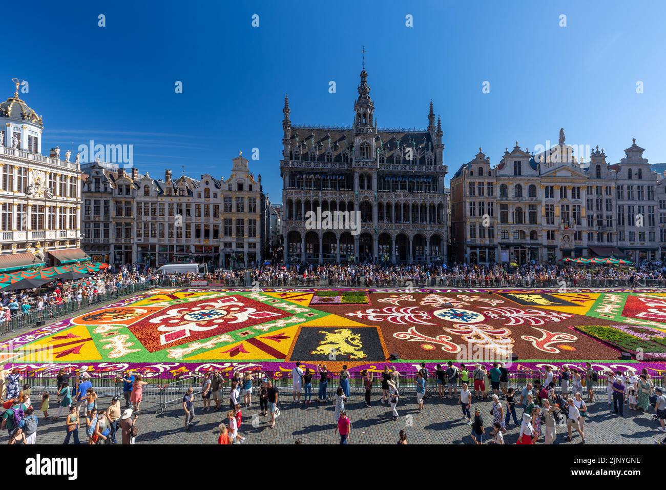 Flower carpet edizione 2022 presso la Grand Place di Bruxelles, Belgio Foto Stock