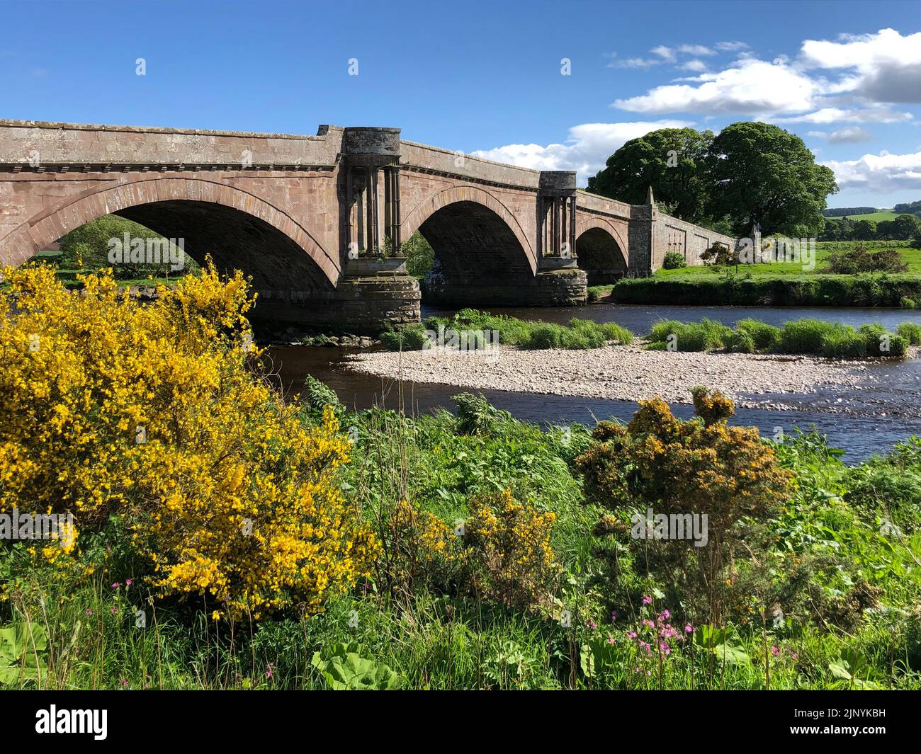 Ponte di Dun, sopra Esk Sud vicino a Montrose in una luminosa giornata primaverile con vegetazione in primo piano sulle rive del fiume e una barra di ghiaia nel fiume. Foto Stock