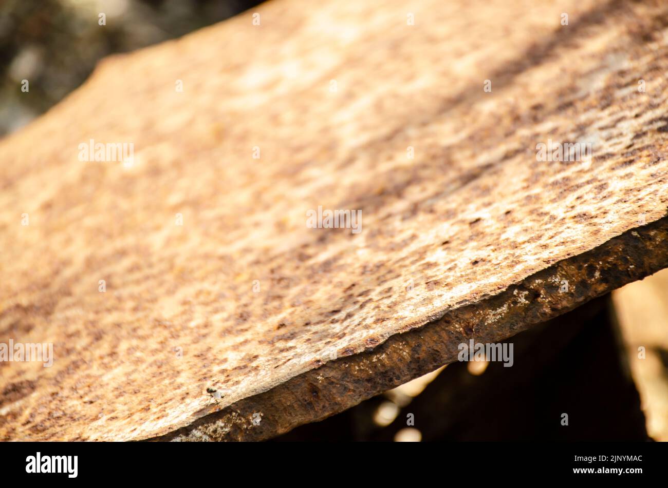 Strato spesso di metallo con messa a fuoco selettiva. Background per l'industria metallurgica industriale o il tuo progetto creativo Vista ravvicinata. Backgroun industriale Foto Stock