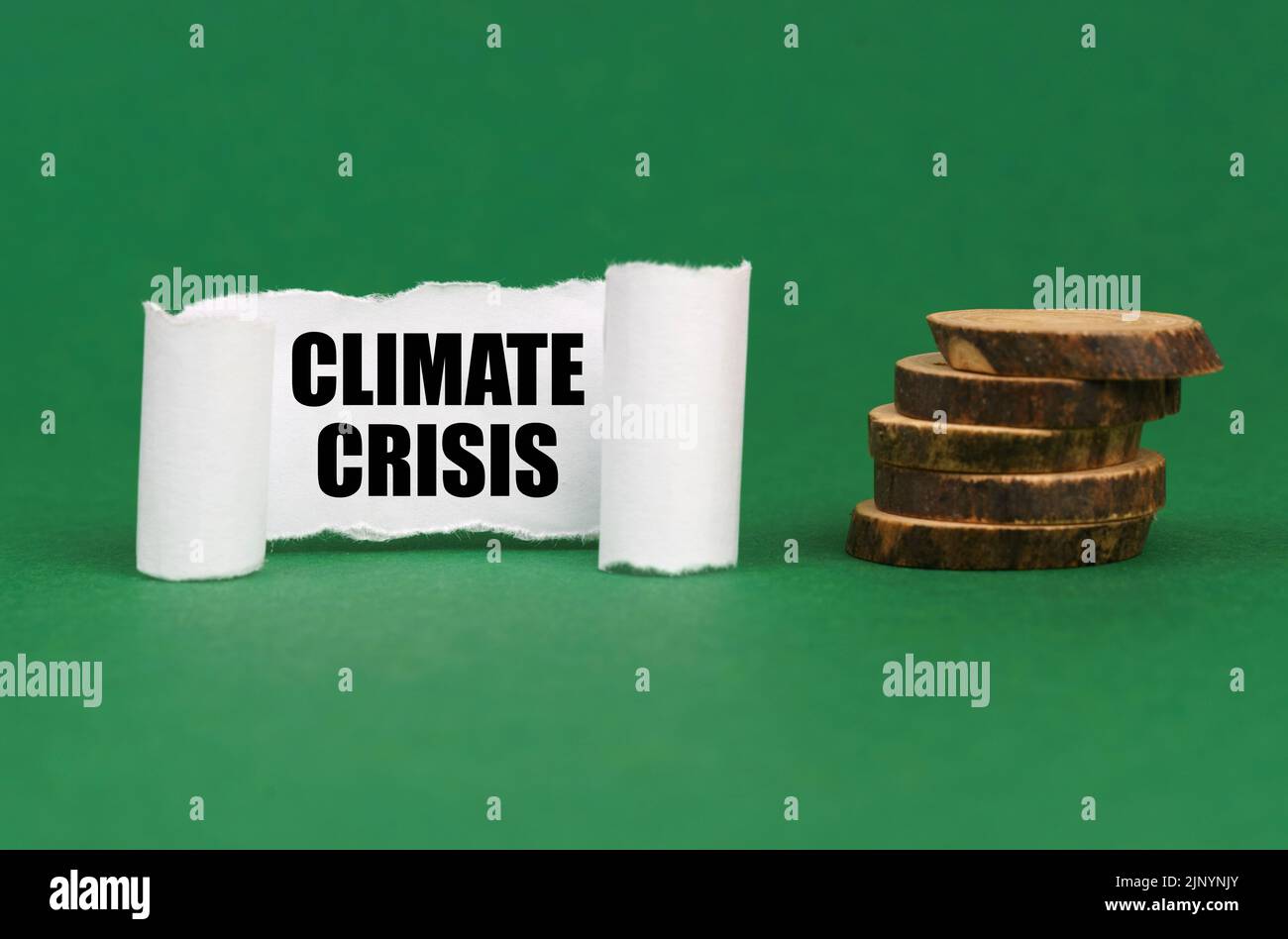 Concetto ecologico. Su una superficie verde, cerchi di legno e una lastra di carta bianca con l'iscrizione - crisi climatica Foto Stock