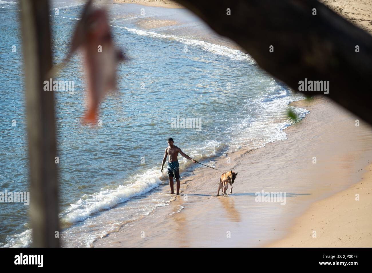 Il giovane uomo cammina con il cane sulle sabbie della spiaggia di Rio Vermelho a Salvador, Bahia. Foto Stock