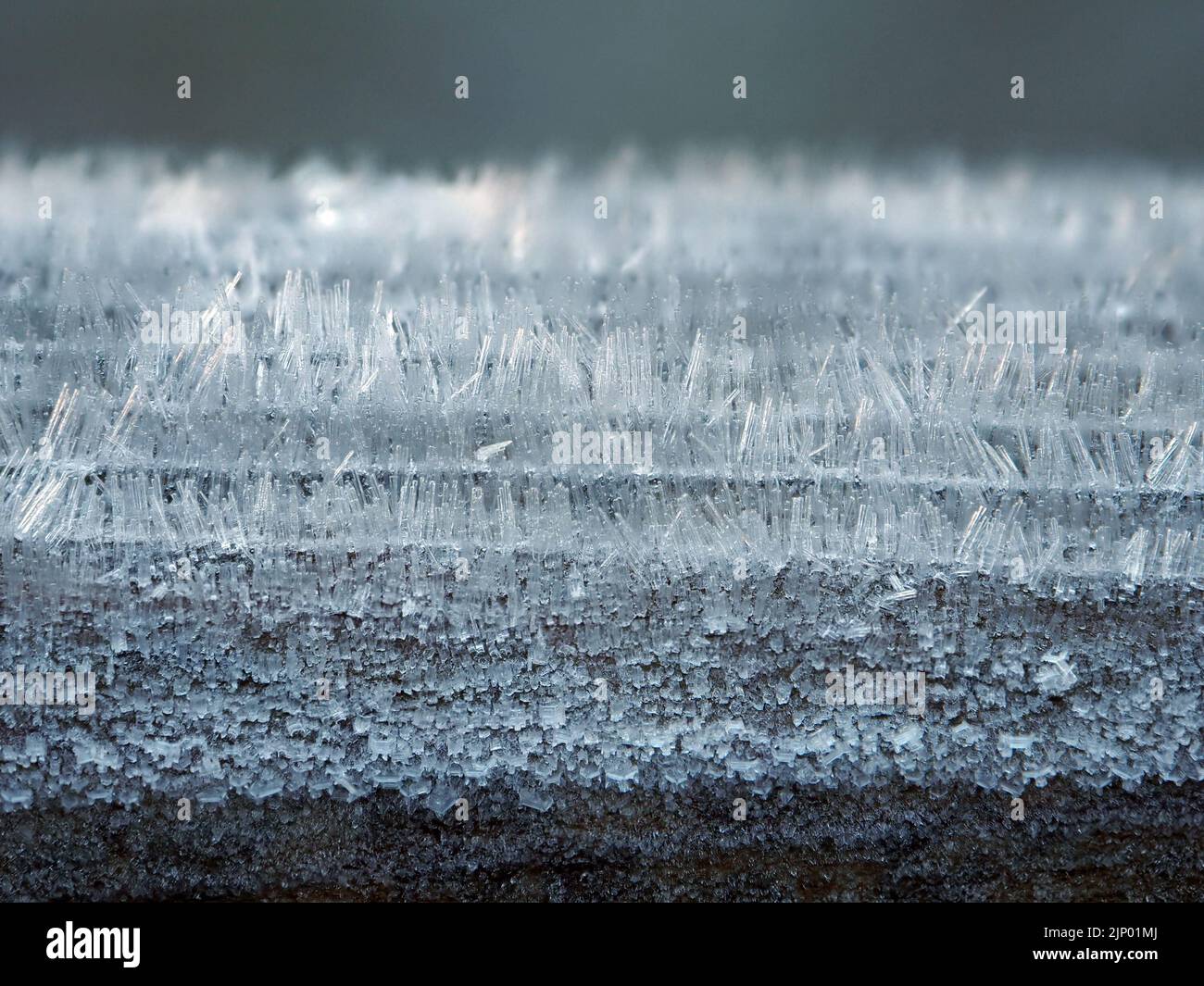 Sole scintillante su densa crescita verticale di cristalli di gelo che si formano sulla superficie del cancello di legno nella fredda mattina di inverno a Cumbria, Inghilterra, Regno Unito Foto Stock