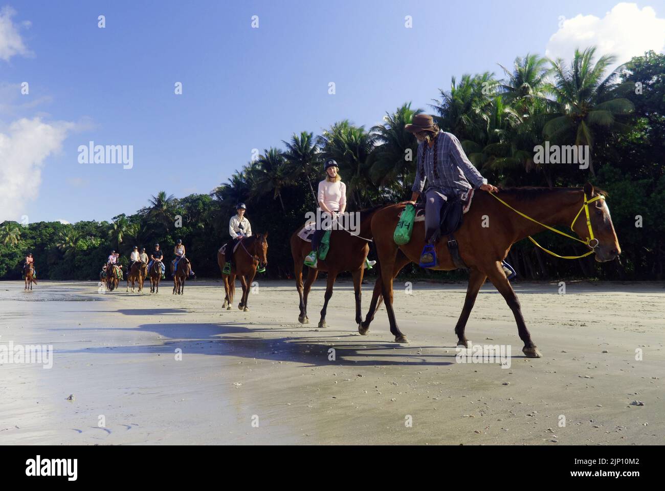 Turisti a cavallo sulla spiaggia a Cape Tribulation, regione di Daintree, a nord di Cairns, Queensland, Australia. No MR o Pr Foto Stock