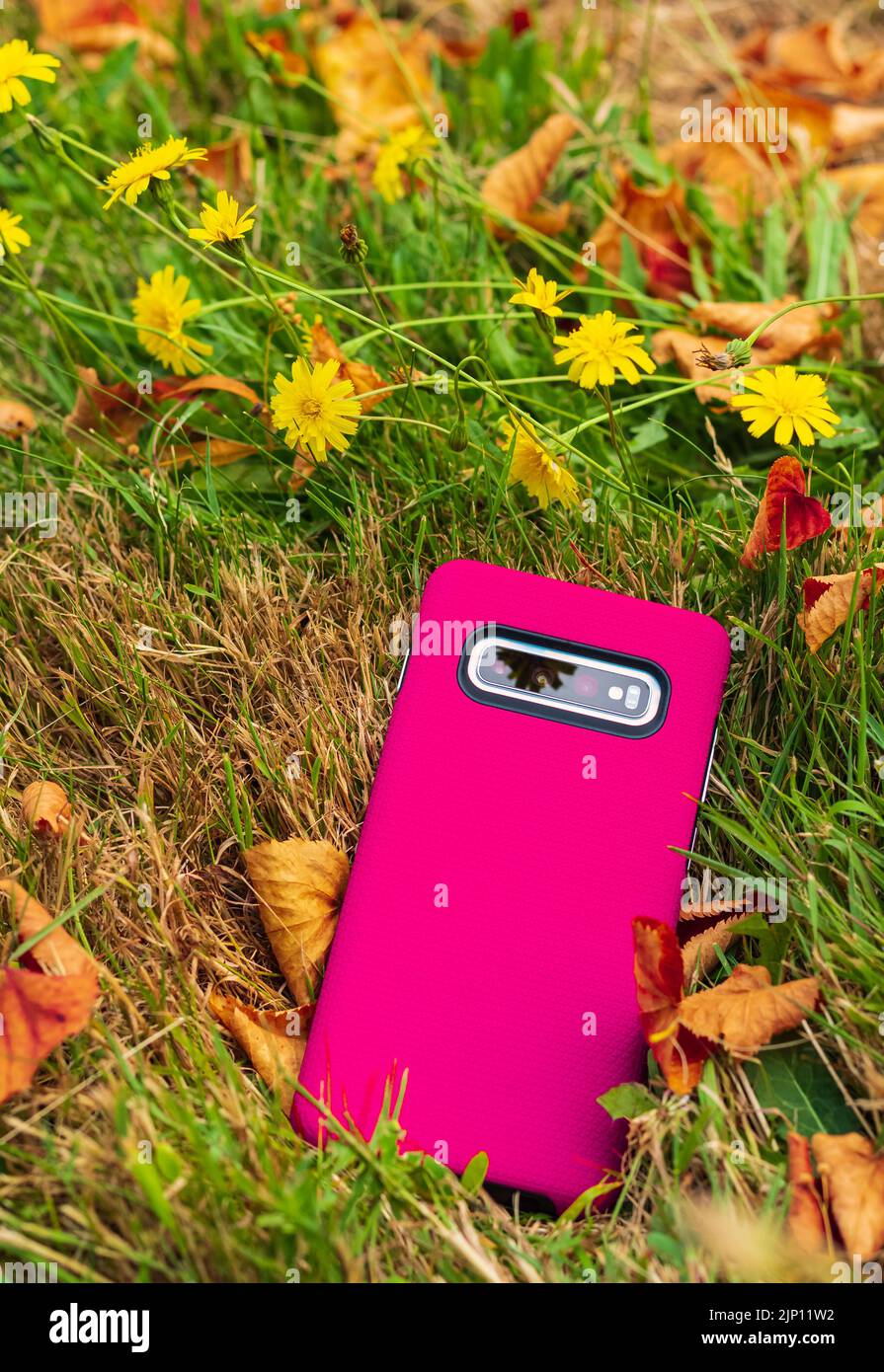 Il telefono è in una copertura rosa su un prato. Cellulare in caso rosso isolato su sfondo naturale. Nessuno, fuoco selettivo Foto Stock