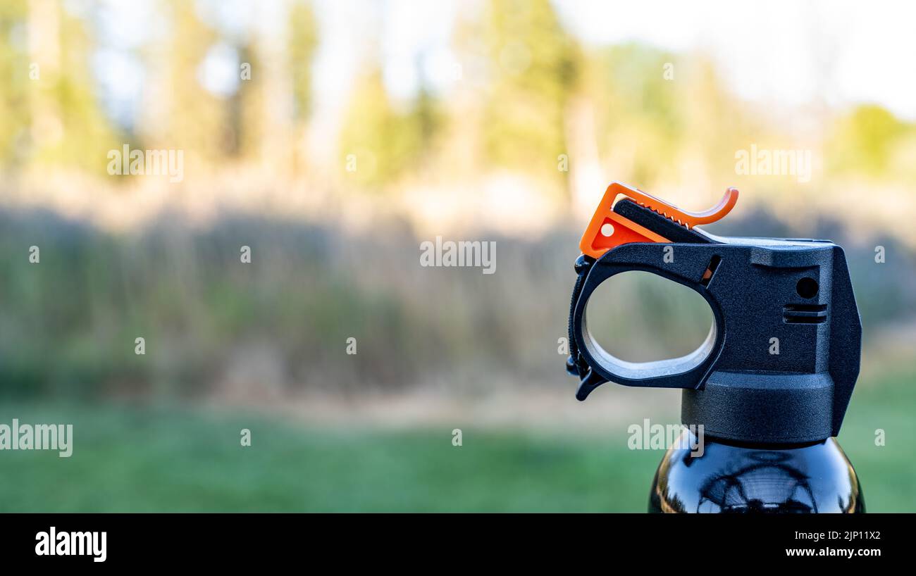 Bomboletta spray spray per orso immagini e fotografie stock ad alta  risoluzione - Alamy