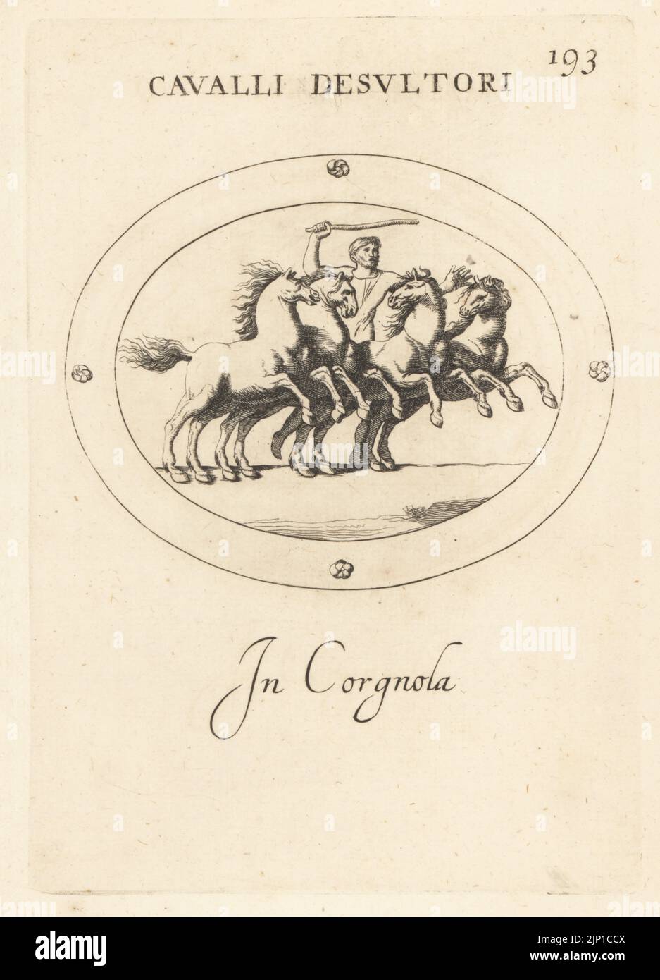 acrobata romana o desultore con quattro cavalli galoppanti. Gli esecutori equestri si sono levati in piedi a cavallo o saltato fra i cavalli al galoppo completo. In carneliano. Cavalli Desultori. In corgnola. Incisione in copperplate di Giovanni Battista Galestruzzi dopo Leonardo Agostini da Gemmae et Sculpturae Antiquae Depicti ab Leonardo Augustino Senesi, Abraham Blooteling, Amsterdam, 1685. Foto Stock