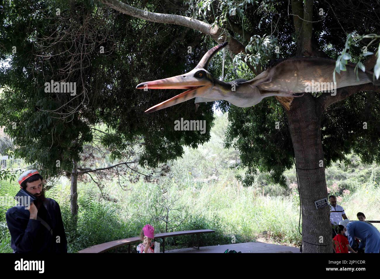 Gerusalemme. 14th ago, 2022. La gente visita una mostra di dinosauri modello in un giardino botanico a Gerusalemme, 14 agosto 2022. Credit: Gil Cohen Magen/Xinhua/Alamy Live News Foto Stock