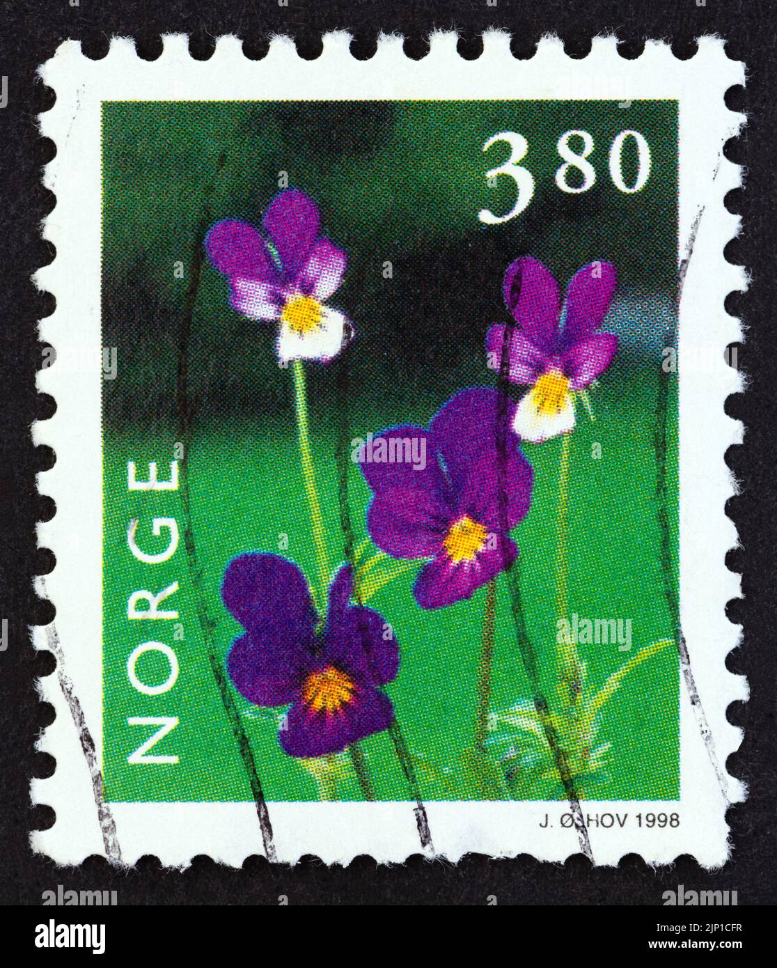 NORVEGIA - CIRCA 1998: Un francobollo stampato in Norvegia dal numero 'Norwegian Flora' mostra Viola tricolore, circa 1998. Foto Stock