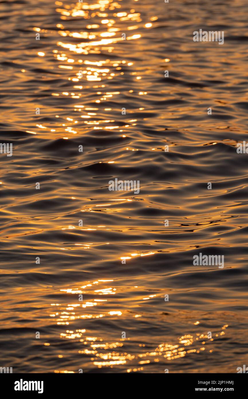 Ripple acqua mare oceano superficie con luce tramonto dorato. Primo piano dell'onda di mare Foto Stock