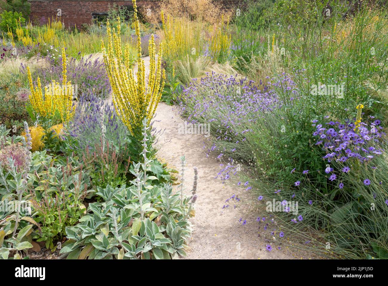 Il giardino Paradiso a RHS Bridgewater, Worsley, Greater Manchester, Inghilterra. Foto Stock