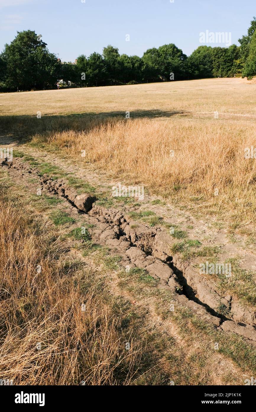 Alexandra Park, Londra, Regno Unito. 15th ago 2022. UK Weather: Avvertenze sulla siccità nel Regno Unito. Condizioni di asciutto ad Alexandra Park, a nord di Londra. Credit: Matthew Chattle/Alamy Live News Foto Stock