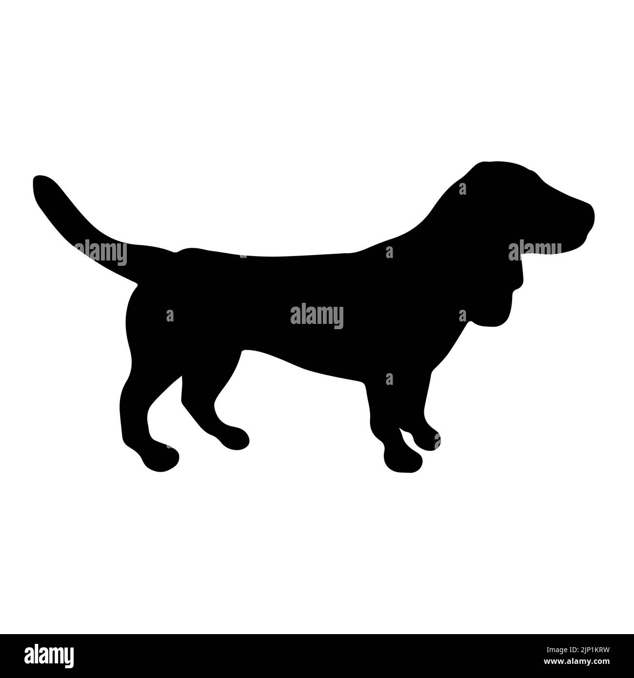 Vettore mano disegnata basset cane cane silhouette Illustrazione Vettoriale