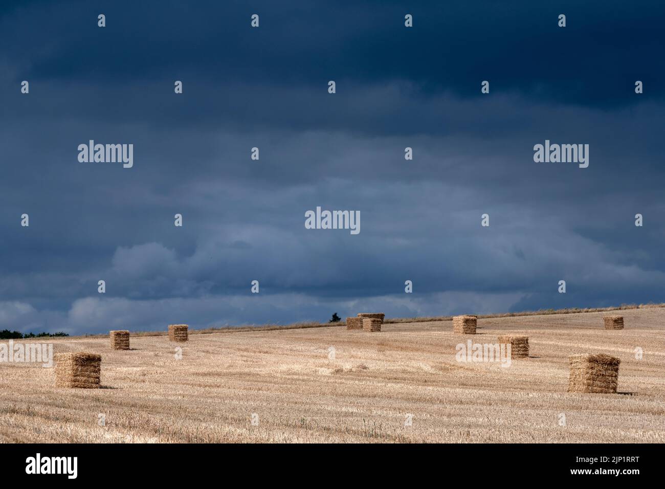 Balle di paglia Bawdsey Suffolk Inghilterra Foto Stock