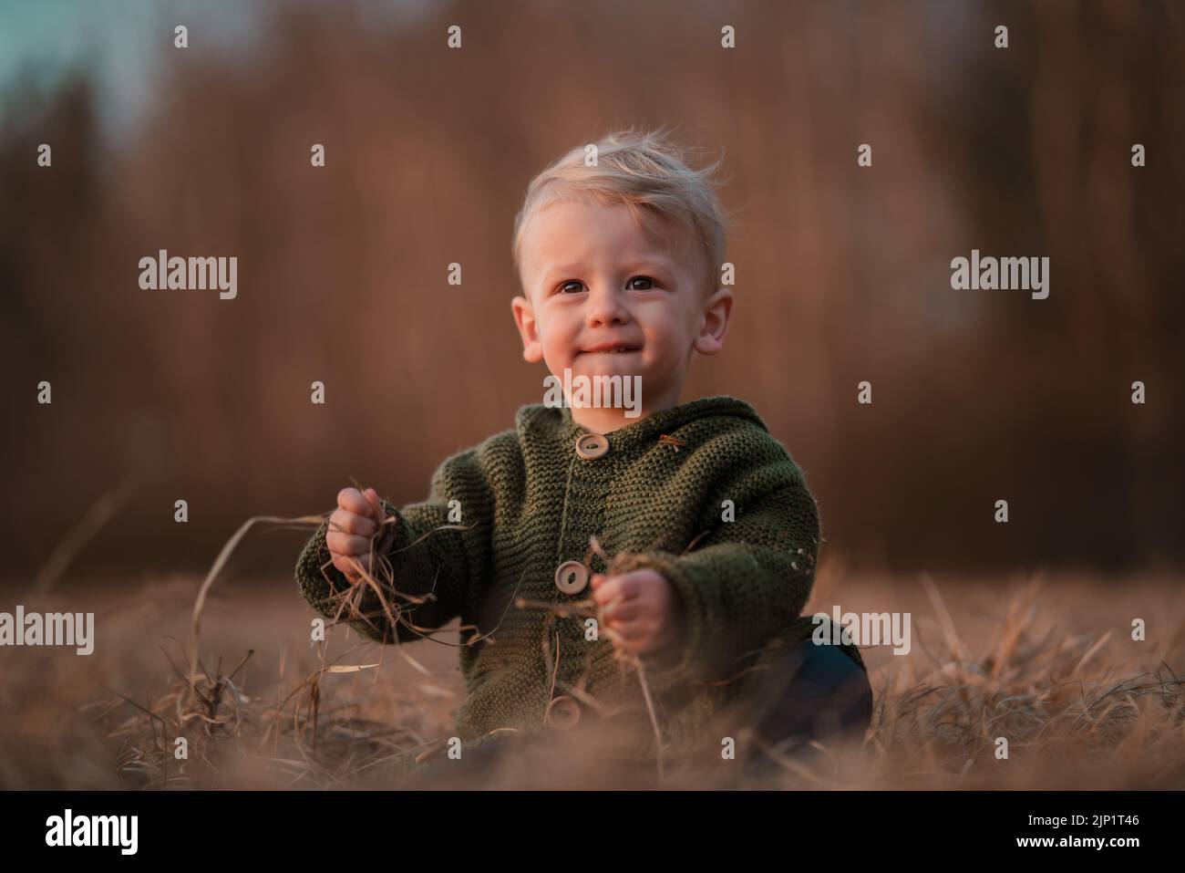 Piccolo ragazzo curioso in maglia maglione a piedi in autunno natura, guardando la macchina fotografica. Foto Stock