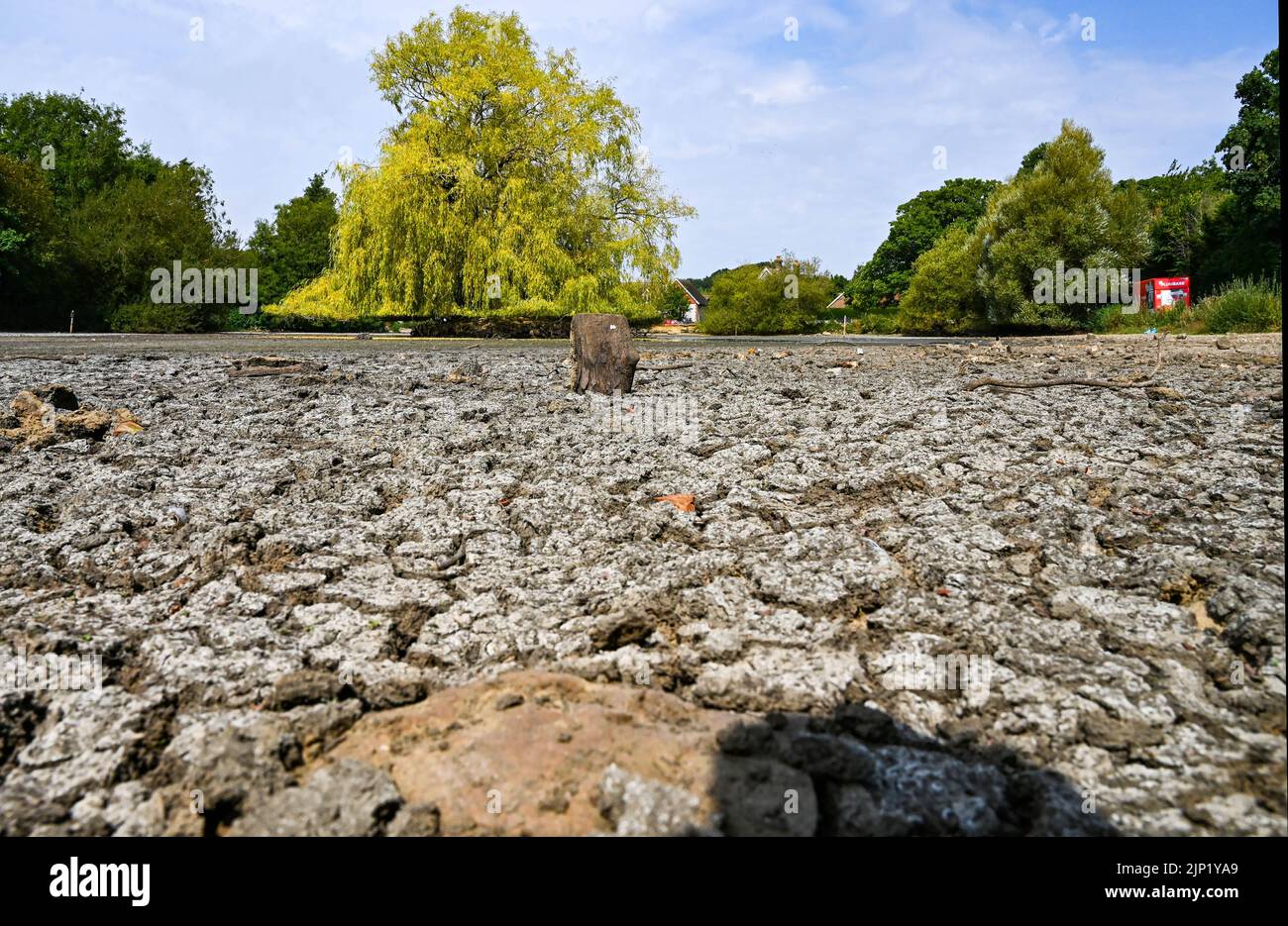 Brighton, Regno Unito. 15th ago, 2022. L'antico stagno sassone del villaggio di Falmer alla periferia di Brighton è completamente prosciugato, mentre le condizioni di caldo e siccità continuano nel sud-est: Credit Simon Dack/Alamy Live News Foto Stock