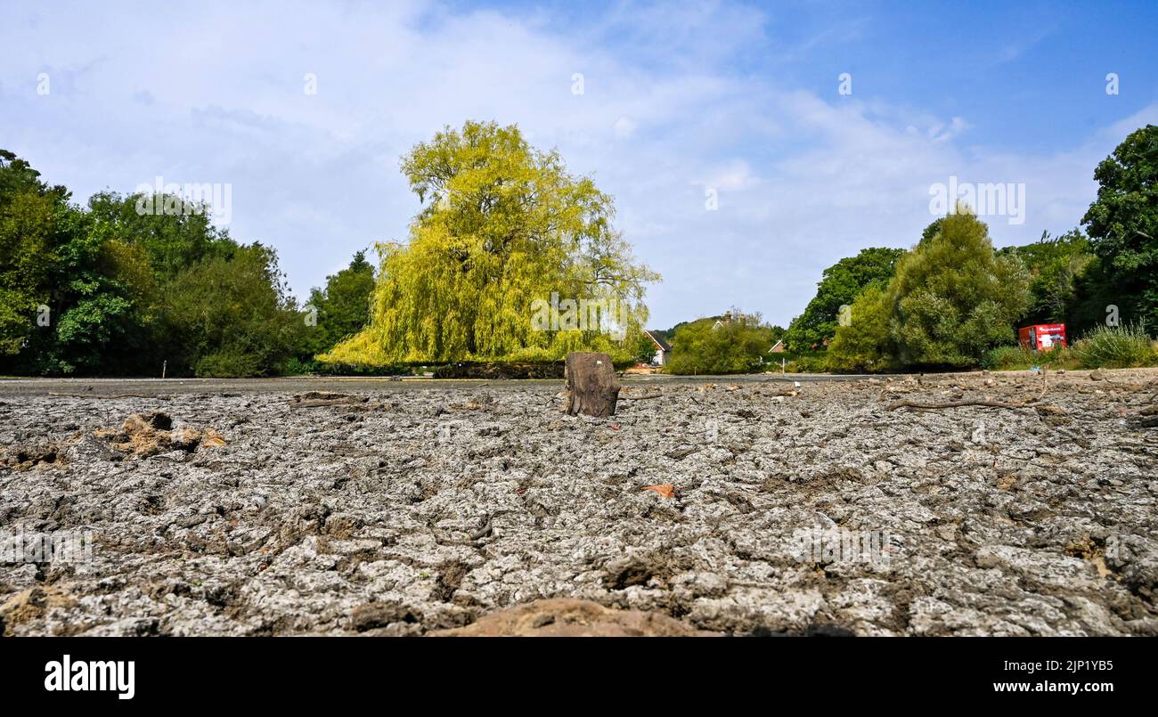 Brighton, Regno Unito. 15th ago, 2022. L'antico stagno sassone del villaggio di Falmer alla periferia di Brighton è completamente prosciugato, mentre le condizioni di caldo e siccità continuano nel sud-est: Credit Simon Dack/Alamy Live News Foto Stock