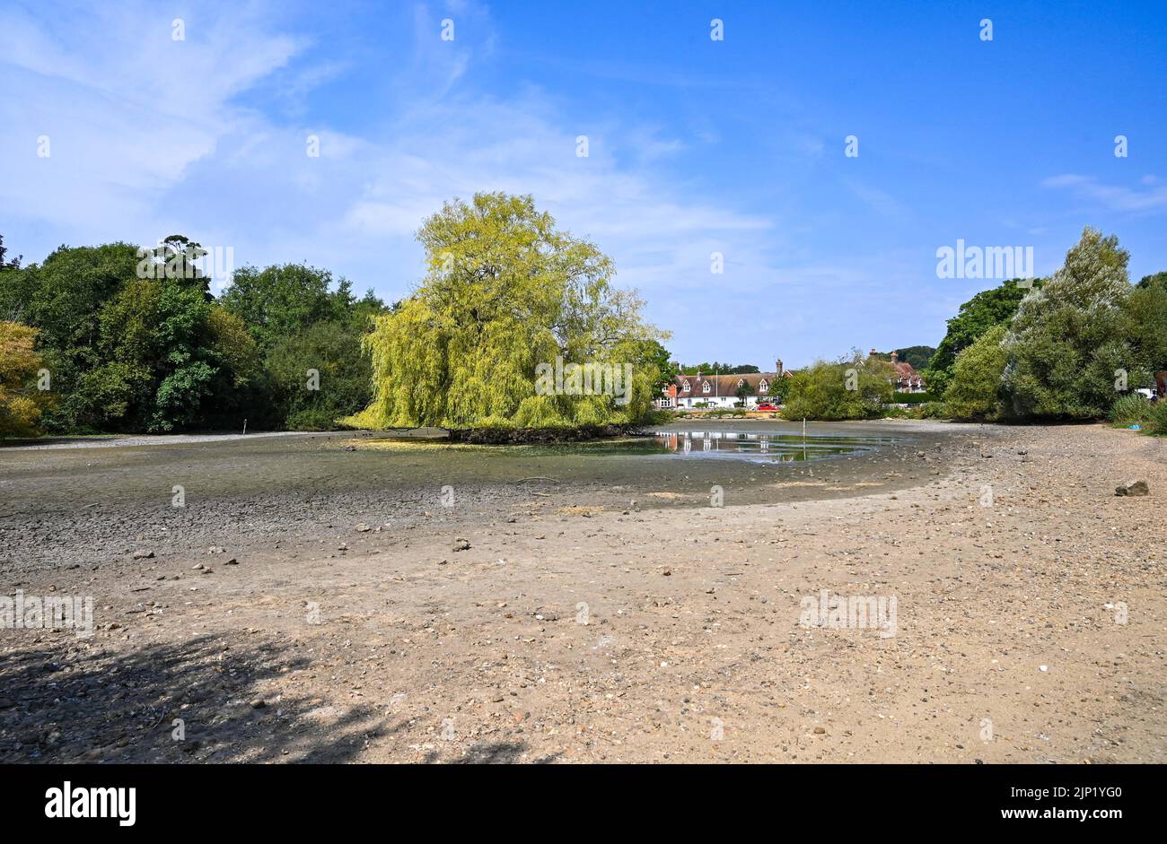 Brighton, Regno Unito. 15th ago, 2022. L'antico stagno sassone del villaggio di Falmer alla periferia di Brighton è completamente prosciugato, mentre le condizioni di caldo e siccità continuano nel sud-est: Credit Simon Dack/Alamy Live News Foto Stock