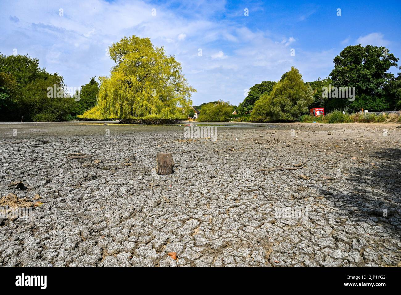 Brighton, Regno Unito. 15th ago, 2022. L'antico stagno sassone del villaggio di Falmer alla periferia di Brighton è completamente prosciugato, mentre le condizioni di caldo e siccità continuano nel sud-est: Credit Simon Dack/Alamy Live News Foto Stock