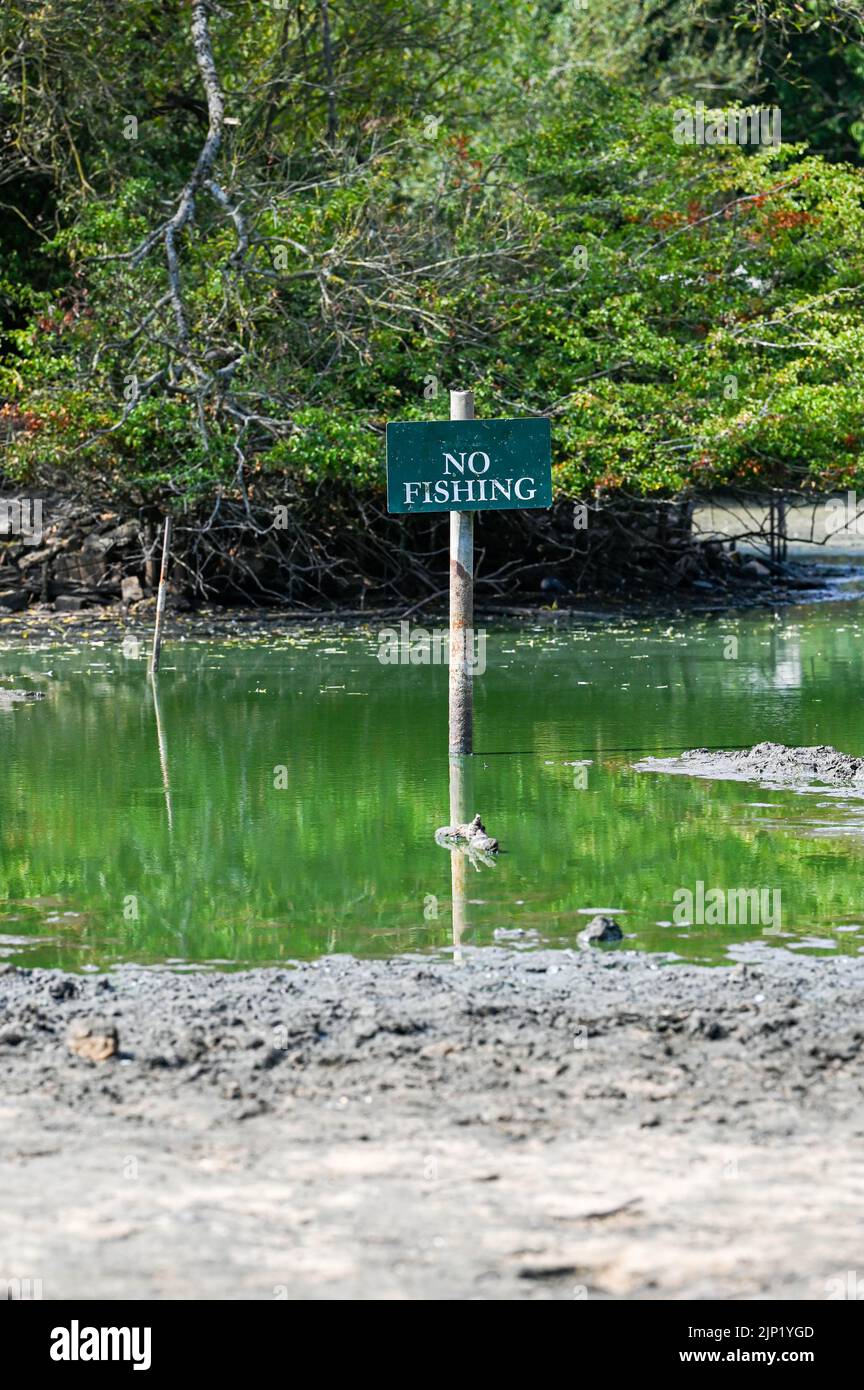 Brighton, Regno Unito. 15th ago, 2022. L'antico stagno sassone del villaggio di Falmer alla periferia di Brighton è completamente prosciugato, mentre le condizioni di caldo e siccità continuano nel sud-est: Credit Simon Dack/Alamy Live News Foto Stock