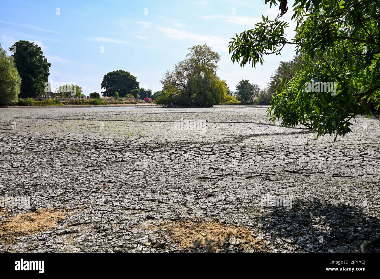 Brighton, Regno Unito. 15th ago, 2022. L'antico stagno sassone del villaggio di Falmer alla periferia di Brighton è completamente prosciugato, mentre le condizioni di caldo e siccità continuano nel sud-est: Credit Simon Dack/Alamy Live News Foto Stock