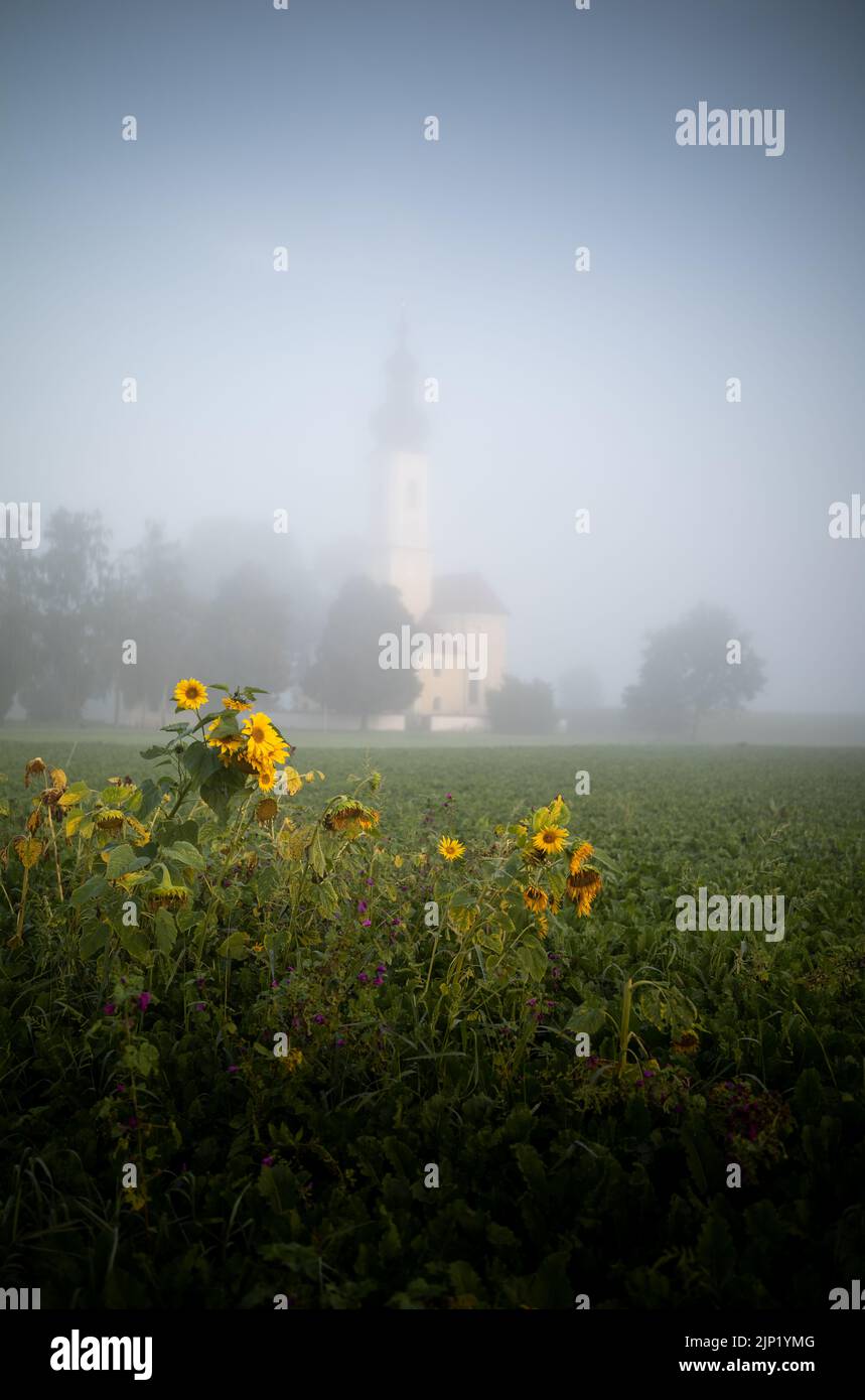 Paesaggio bavarese Foto Stock