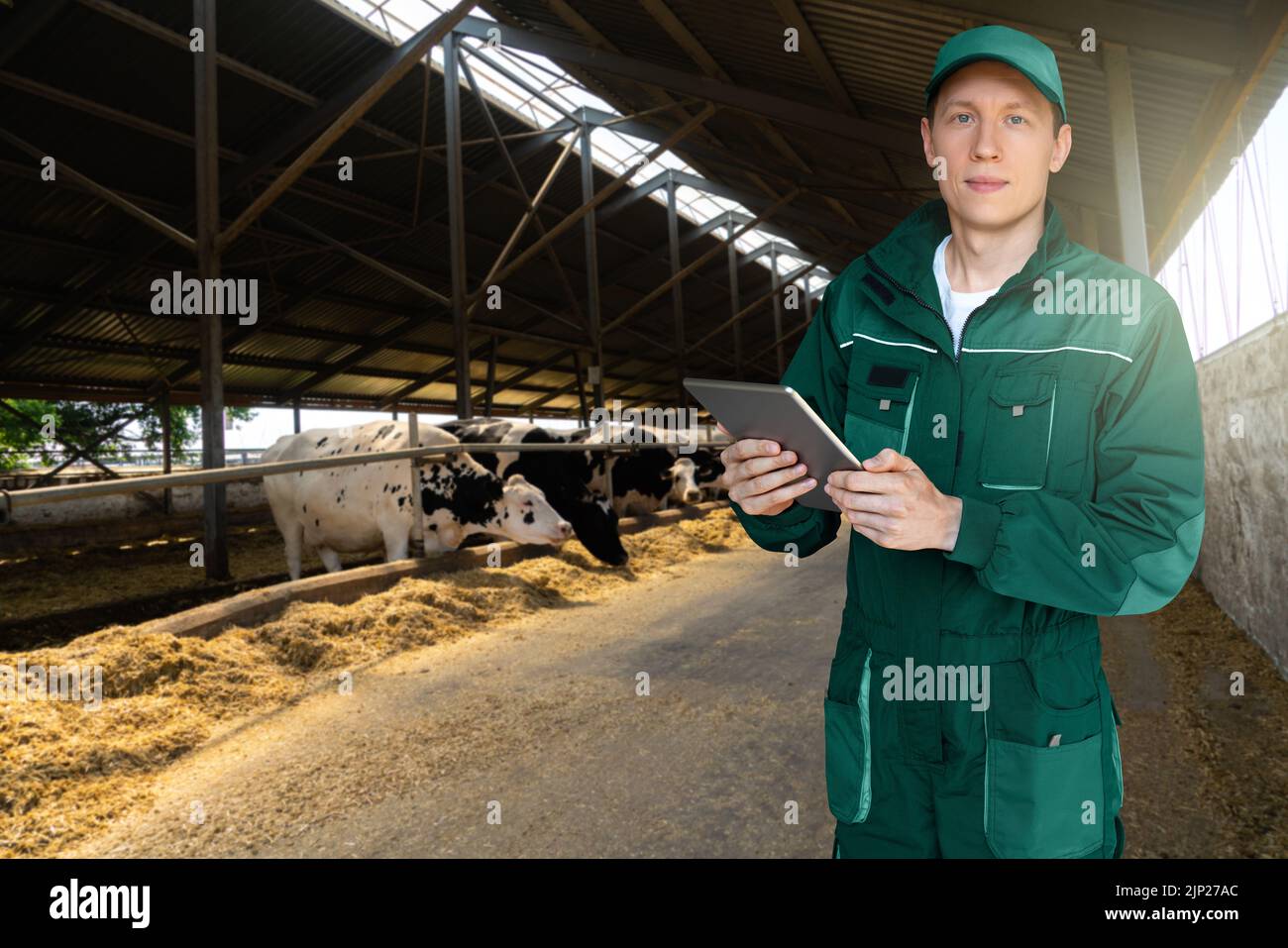 L'agricoltore con computer tablet ispeziona le mucche in una fattoria casearia. Concetto di gestione del gregge. Foto Stock
