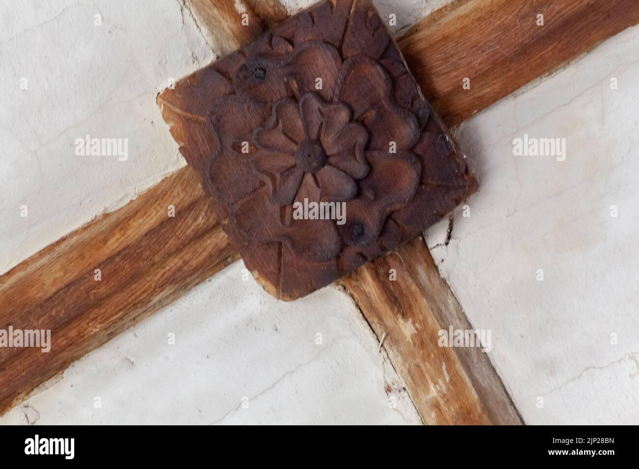 Il Boss di quercia intagliato raffigurante Rose of York, la chiesa di San Matteo, Coldridge, Devon Foto Stock