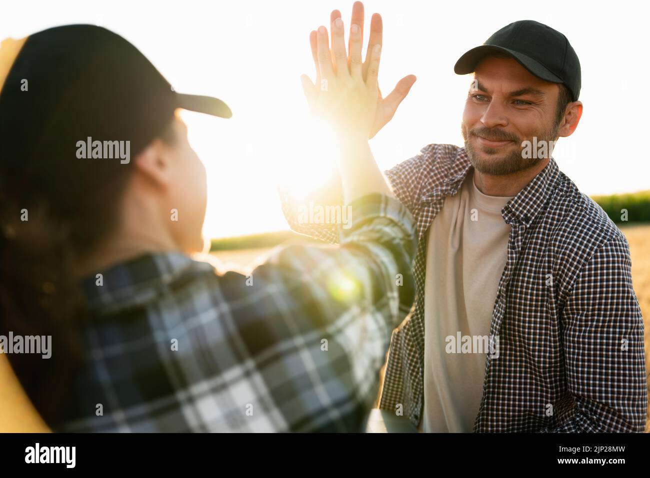 Contadini uomo e donna con tablet e notebook alti cinque in campo di grano al tramonto Foto Stock