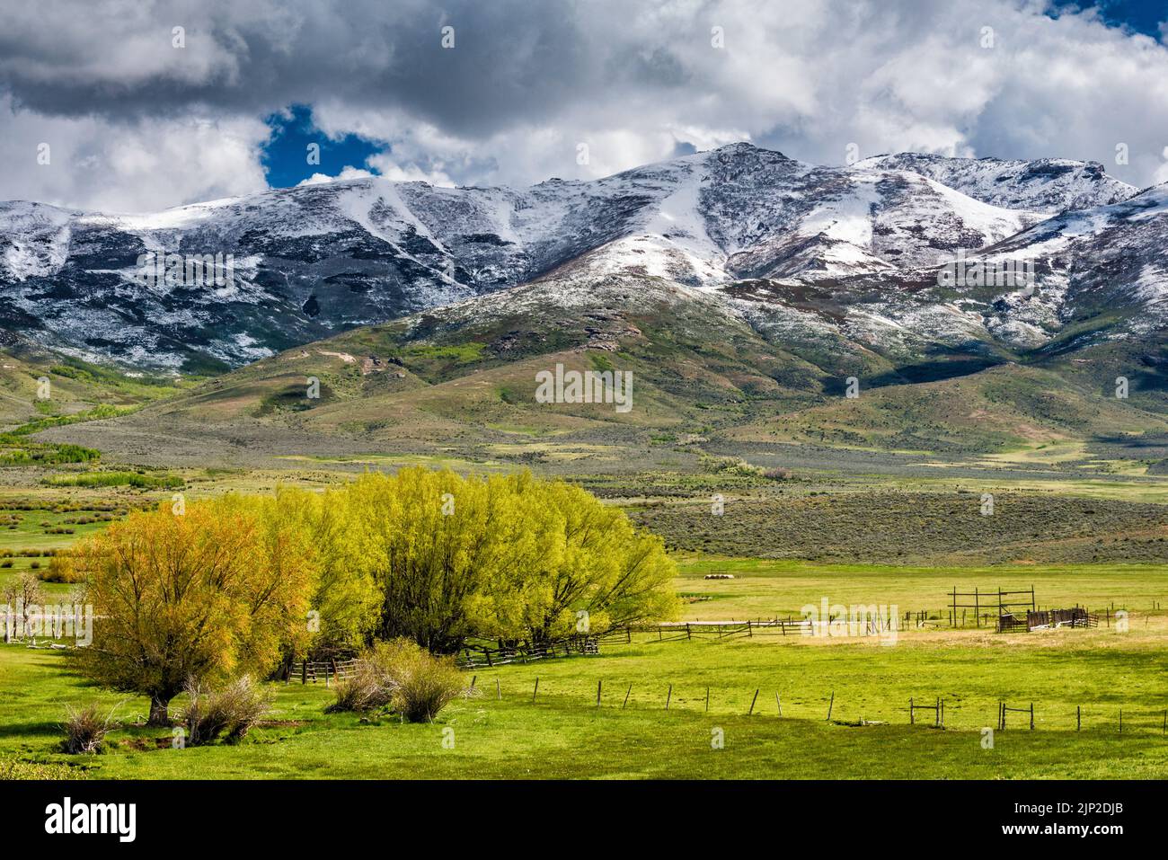Massiccio Humboldt Peak, East Humboldt Range, sulla Secret Valley, dopo la tempesta di neve in tarda primavera, vista dal Secret Pass, vicino all'autostrada NV229, Nevada, USA Foto Stock