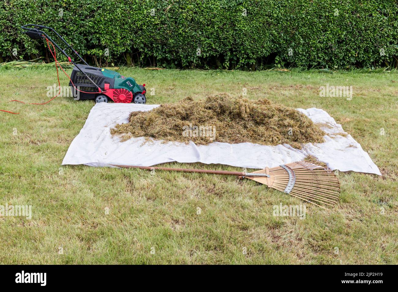 Pila di paglia rimossa da un prato utilizzando un verticutter elettrico Bosch, Regno Unito, Europa Foto Stock