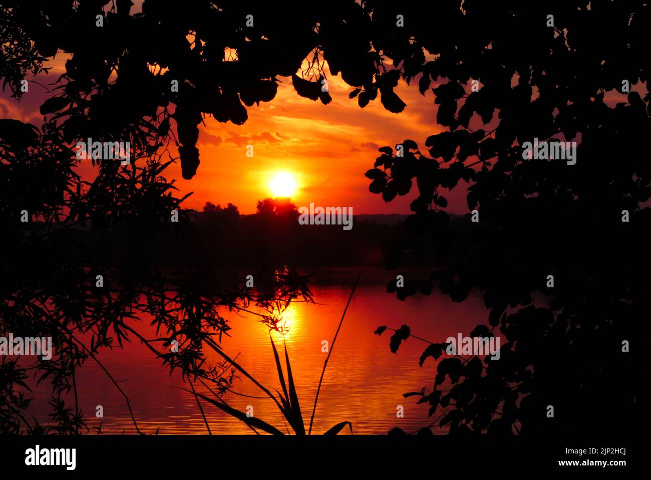 Incredibile alba o tramonto nella scena rurale. Luce del sole sull'acqua di un lago. Cielo suggestivo con silhouette di vegetazione in primo piano. Foto Stock